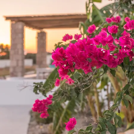 Appartamento Milis Adamantas (Milos)